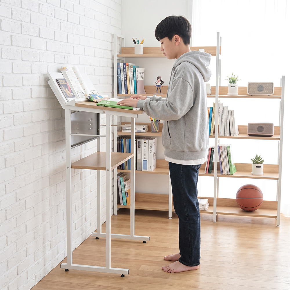 디자인블레스 스탠딩책상